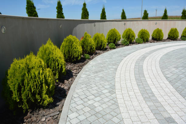 Reasons to Select Us for Your Driveway Paving Requirements in Kenmore, WA